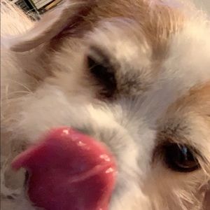 Meet your Posher, Gold